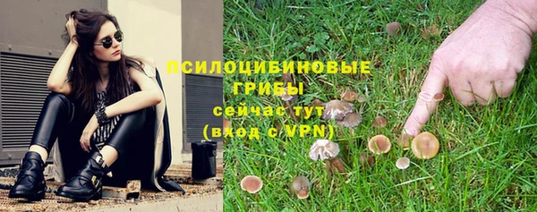 эйфоретик Алексеевка