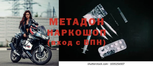 прущие грибы Алексин