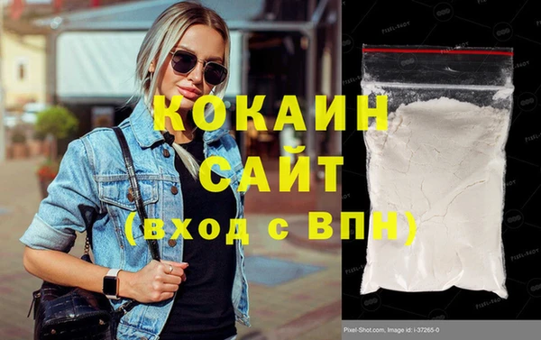 индика Алзамай