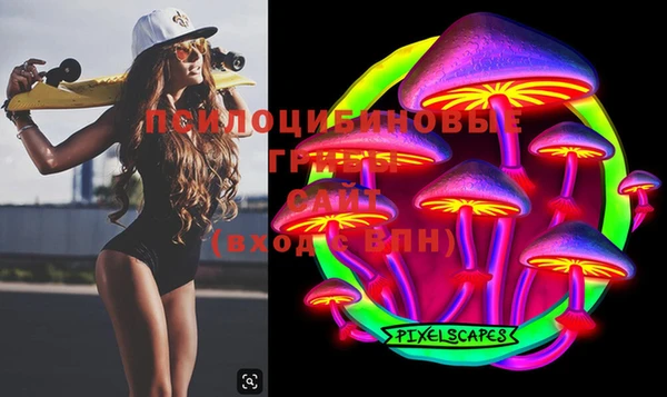 индика Алзамай