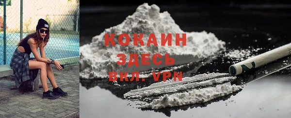 прущие грибы Алексин
