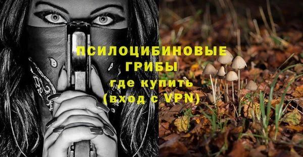 эйфоретик Алексеевка