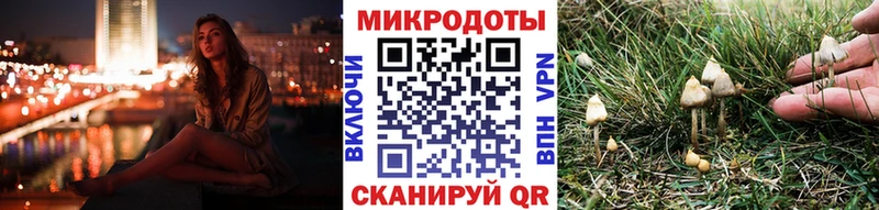 Галлюциногенные грибы GOLDEN TEACHER  Бавлы 
